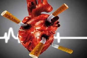 Горячая линия: «Табак и болезни сердца!»